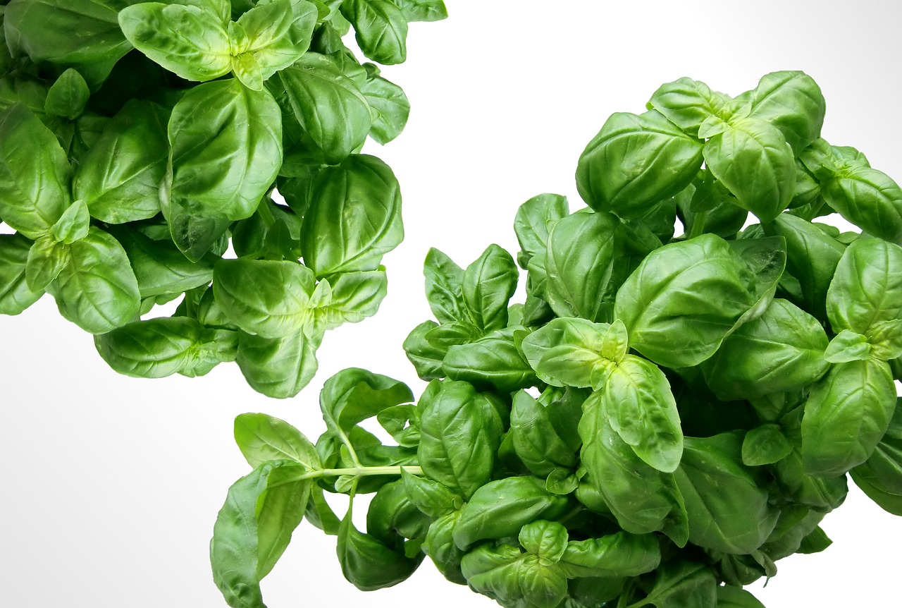 Bouquet Fraîcheur - Jardinière pour Salades – Image 5
