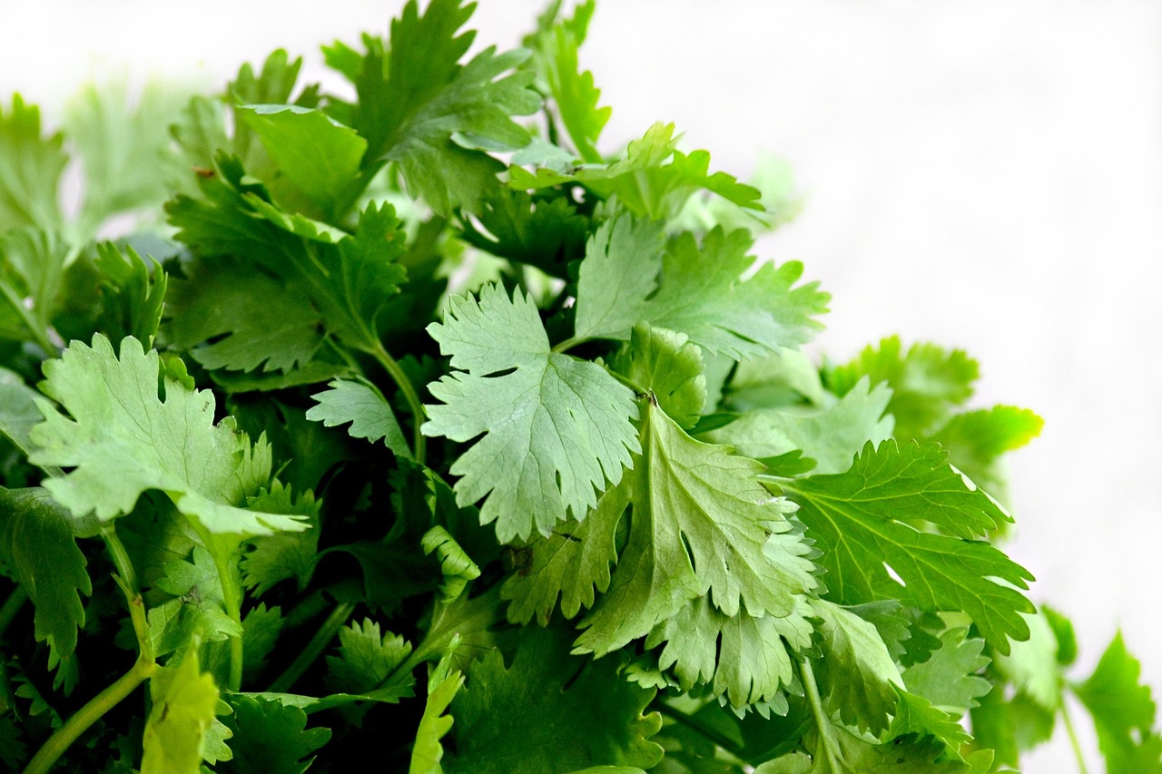 Bouquet Fraîcheur - Jardinière pour Salades – Image 2