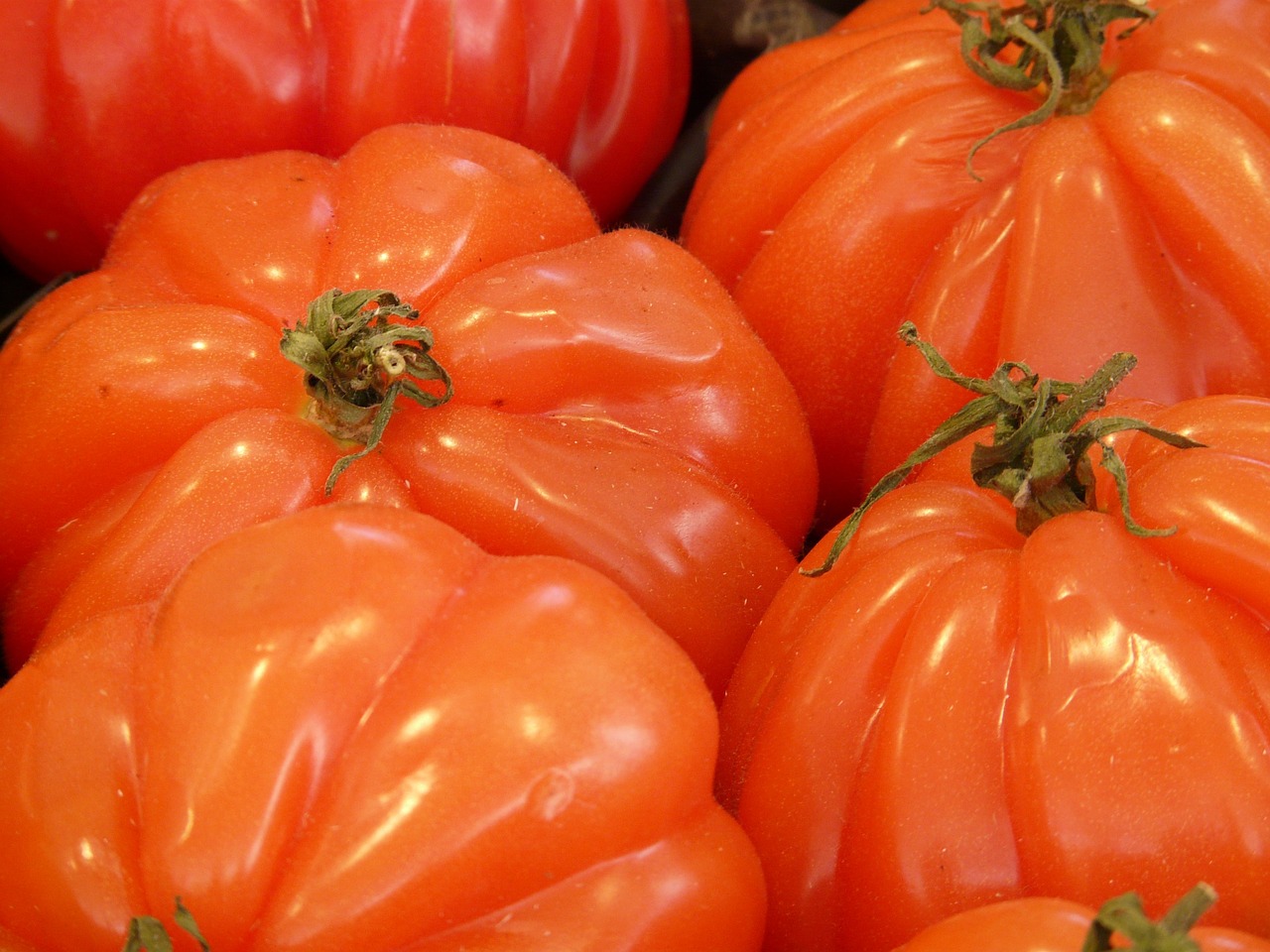 La Maxi Rouge - Pot de Tomates Cœur de Bœuf – Image 5