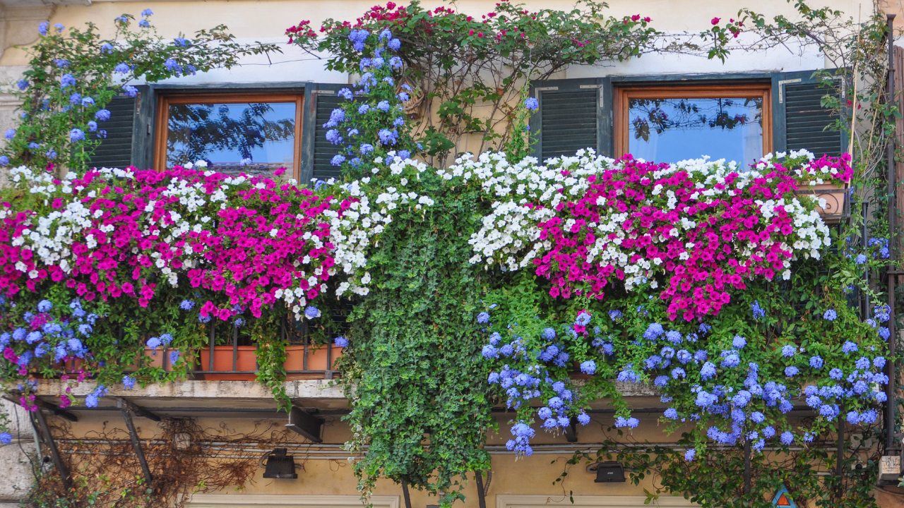 installer un jardin sur balcon